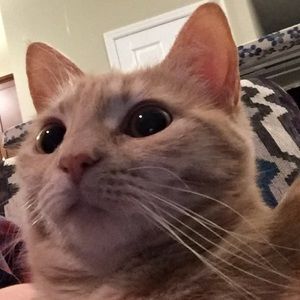 Meet your Posher, Erin